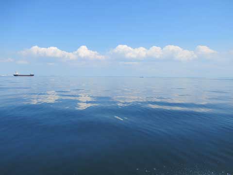 海の散骨を希望の写真